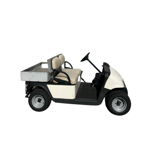 Used EZGO RXV Utility with RoyPow